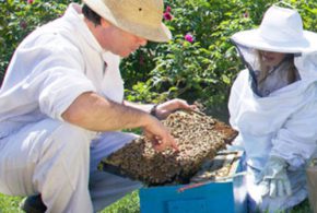 Visite guidée chez Intermiel et panier cadeaux