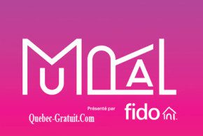 Forfait pour assister au festival Mural