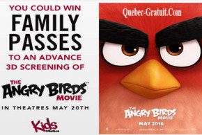 Billets pour l'avant-première du film Angry Birds