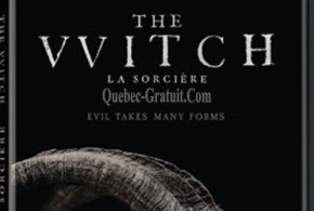 DVD du film La sorcière