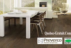 salut bonjour.tv/concours