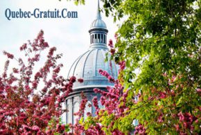 2 cartes musees de Trois-Rivieres