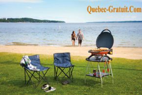 BBQ Napoleon Portable TravelQ de 220 $