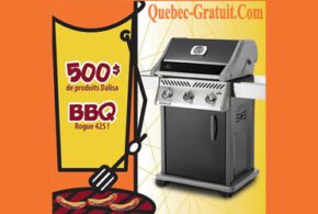 BBQ noir Rogue 425 de Napoléon