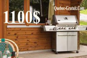 Barbecue Prestige 500'' Propane