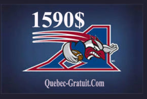 Billets de saison 2016 pour les Alouettes à Montréal