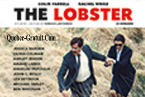 Blu-ray du film The Lobster