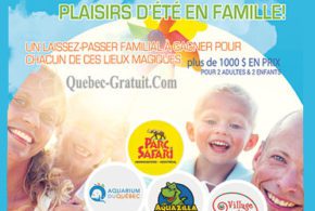 Divers billets pour des activités en famille