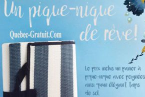 Ensemble cadeaux pour le pique-nique