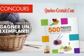 Exemplaire du livre 500 projets maison