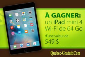 IPad mini 4 Wi-Fi de 64 Go