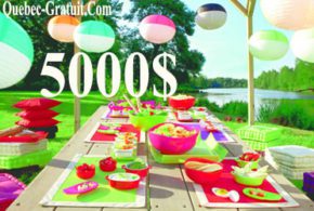 Pique-nique chic à Montréal