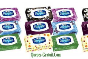 Une Boîte de mouchoirs Royale Gratuite