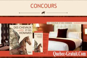 Vivez une aventure hippique à Montréal