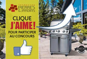 BBQ Jackson Grills de 1400 $