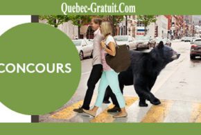 Billets pour 5 personnes au Zoo Ecomuseum
