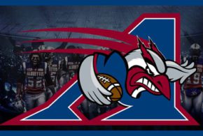 Billets pour une partie des Alouettes à Montréal