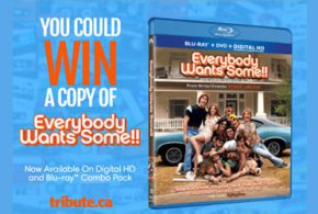 Blu-ray du film Everybody Wants Some