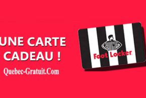 Carte-cadeau Foot Locker de 100 $