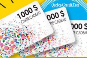 Carte-cadeau Indigo de 1000 $