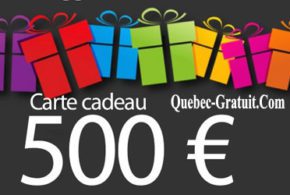 Carte-cadeau Visa de 500 $
