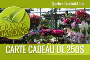 Carte cadeau de 250$