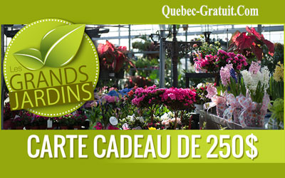 Carte cadeau de 250$