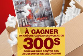 Chèque-cadeau EconoMax de 300 $