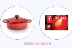 Cocotte ovale 6.3L Le Creuset de 500 $