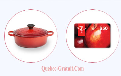 Cocotte ovale 6.3L Le Creuset de 500 $