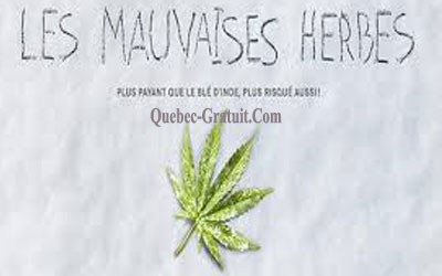 DVD du film Les mauvaises herbes