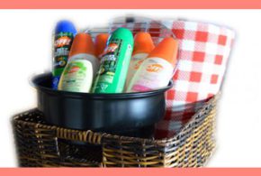 Ensemble de pique-nique