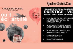 Forfait Prestige VIP pour un spectacle
