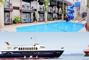 Forfait croisière aux baleines