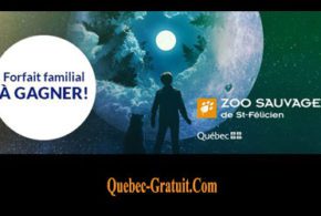 Forfait familial au parcours nocturne illuminé ANIMA LUMINA