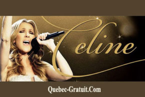 Forfait nuitée concert Céline Dion