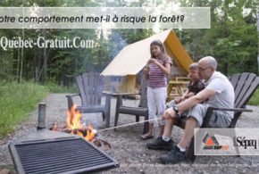 Forfait nuitées en prêt-à-camper dans un camping de la Sépaq