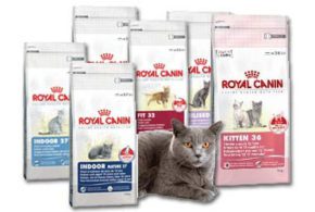 Rabais de 5$ sur la nourriture pour chats Royal Canin