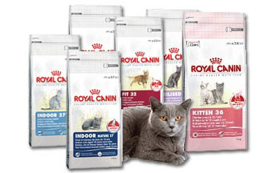 Rabais de 5$ sur la nourriture pour chats Royal Canin