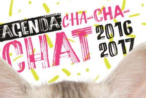 Agenda Cha-cha-chat