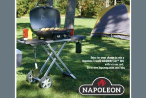 BBQ Napoleon TravelQ de 299 $