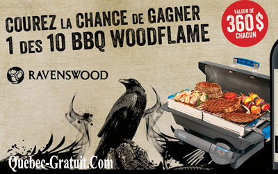 BBQ Woodflame de 360 $