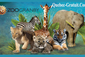 Billets de film et accès Zoo de Granby