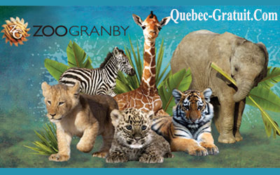 Billets de film et accès Zoo de Granby