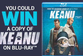 Blu-ray du film Keanu