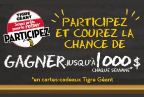 Carte cadeau Tigre Géant de 1000 $