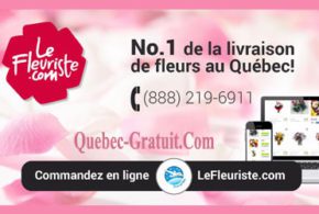 Certificat cadeau de 40$ chez LeFleuriste