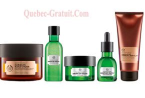 Ensemble cadeaux The Body Shop de 166 $