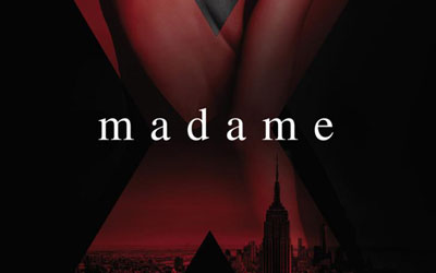 Exemplaire du roman « Madame X »