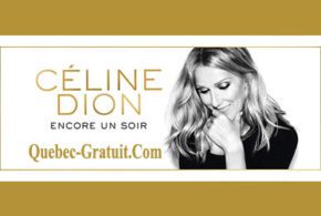 Forfait VIP pour le spectacle de Céline Dion